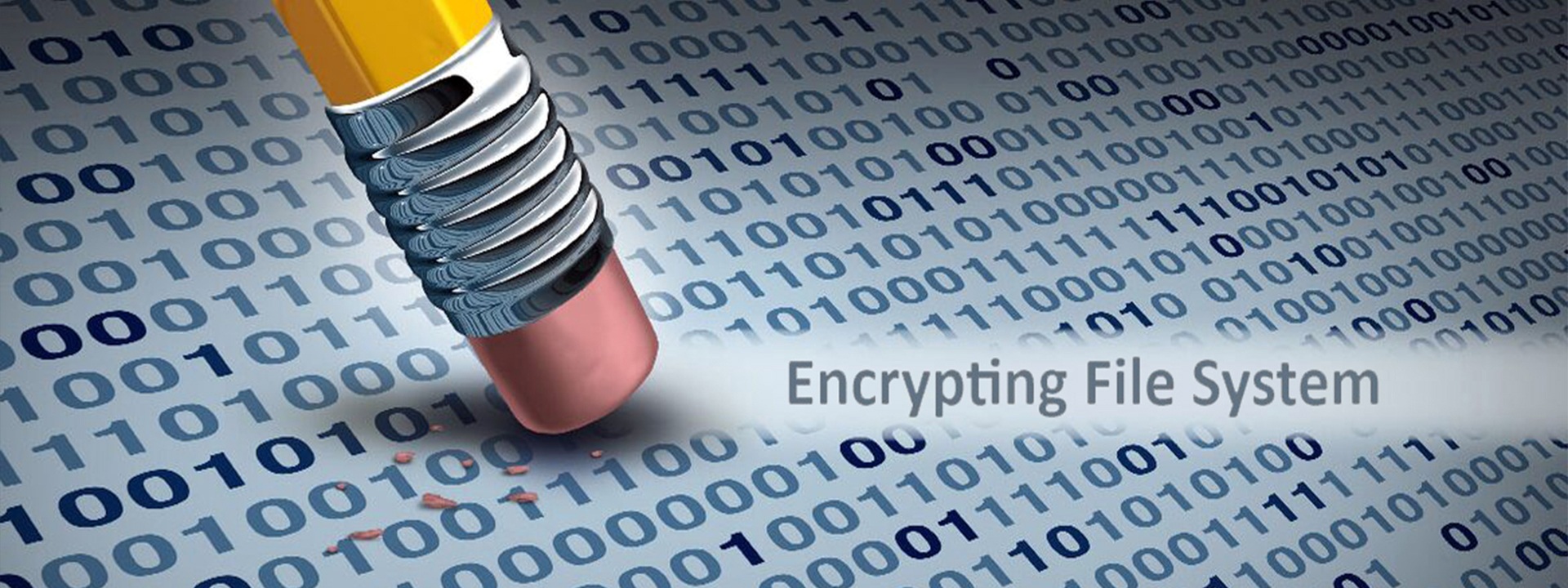 Encryption at the file system level